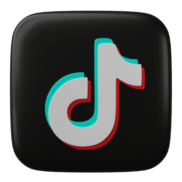 TikTok fashion trends
