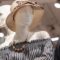 Fashion do's and don'ts