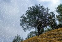 Rainy season outfit ideas