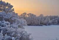 Winter skincare tips